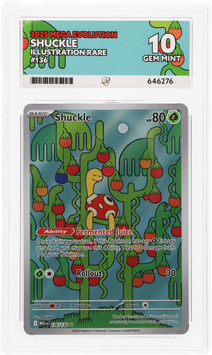 Shuckle - ACE 10 (Front)
