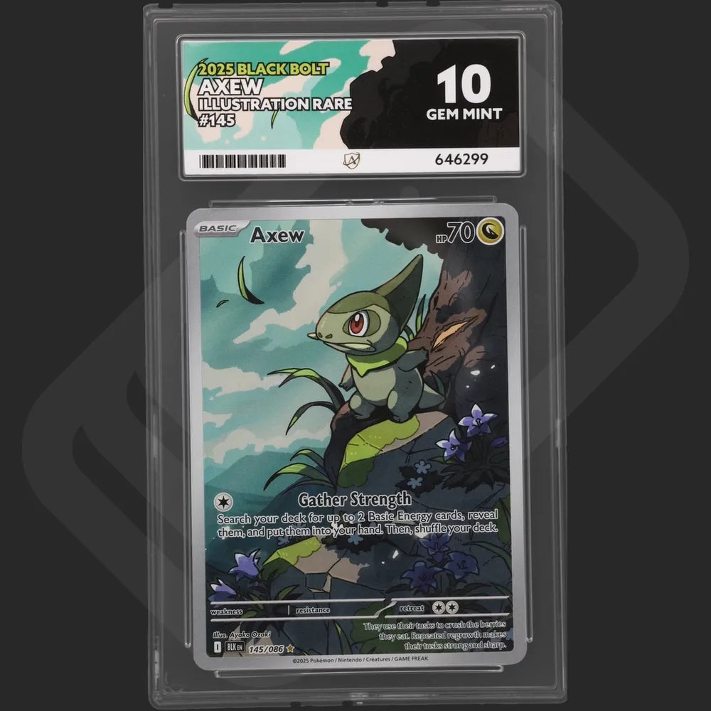 Pokemon - Black Bolt - Axew - 145/086 - Ace Grading - Grade 10