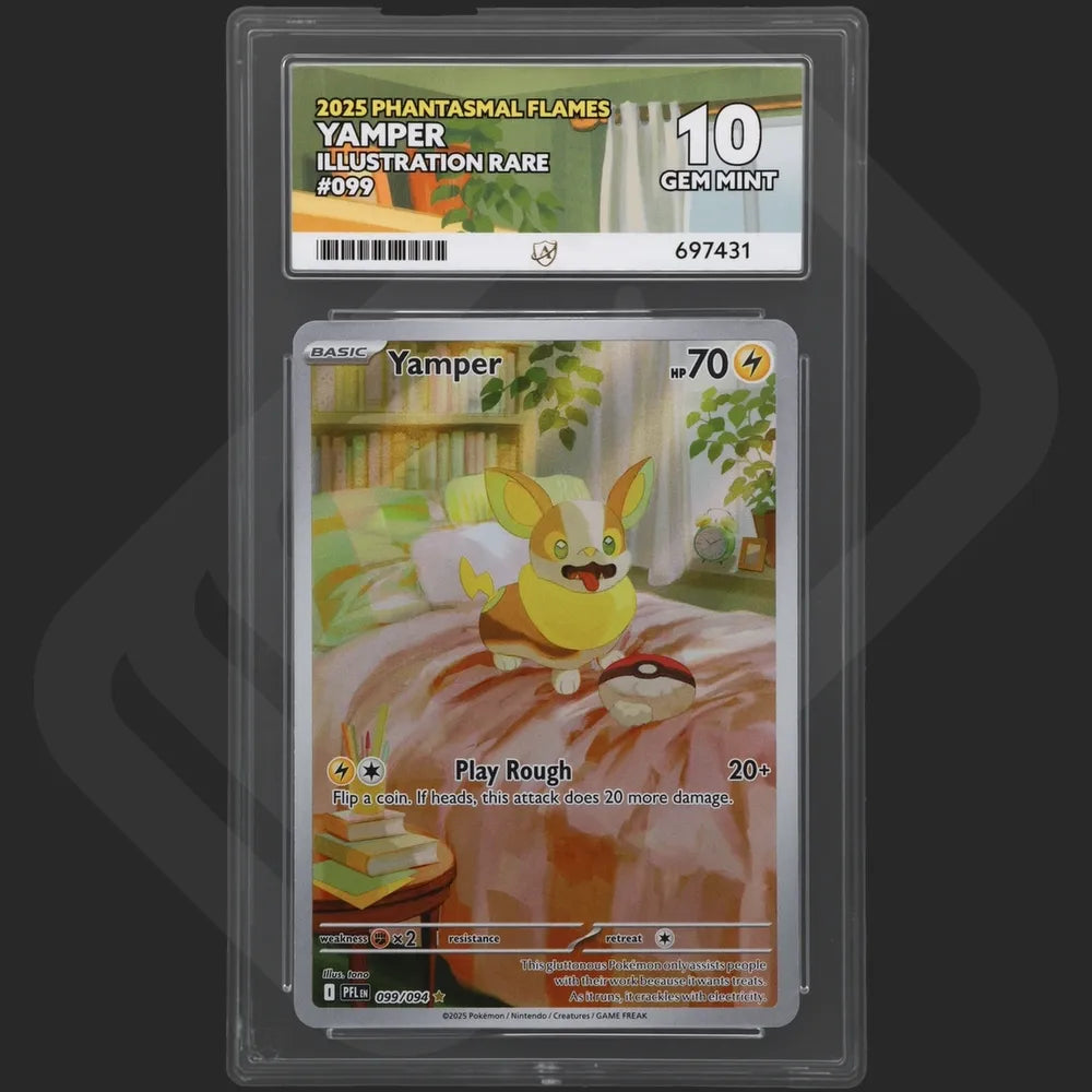 Pokemon - Phantasmal Flames - Yamper - 099/094 - Ace Grading - Grade 10