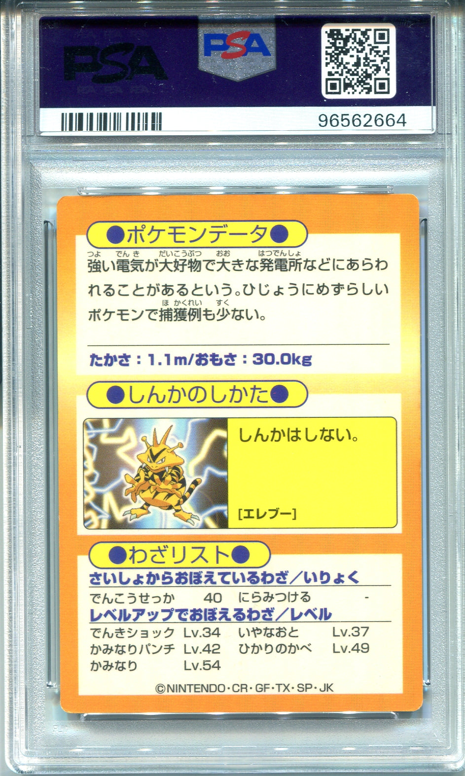 Pokemon - 1997 Japanese Meiji - Electabuzz - Promo-foil - PSA Grade 7 Near Mint