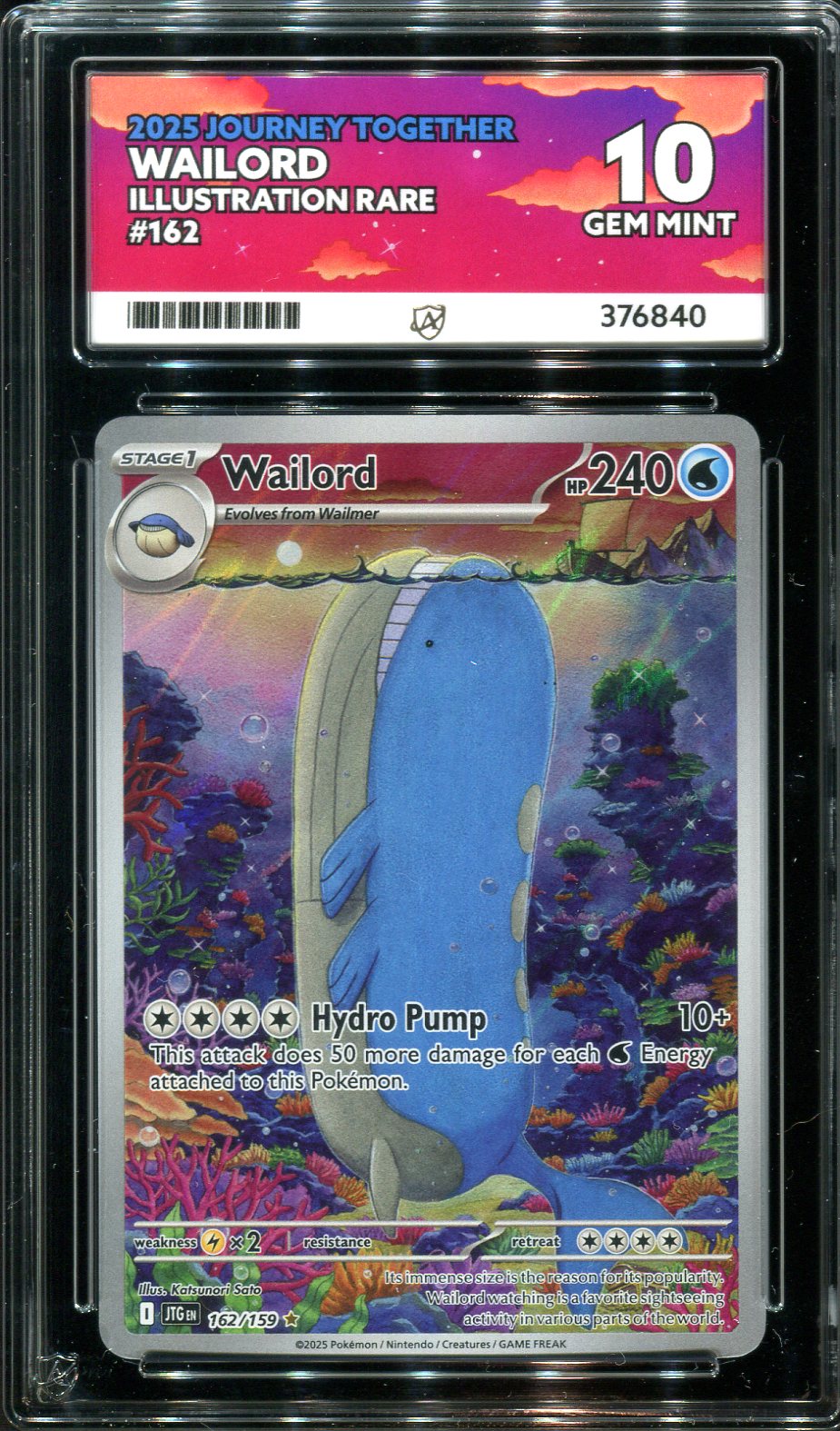 Pokemon - Journey Together - Wailord - 162/159 - Ace Grading - Grade 10 Mint