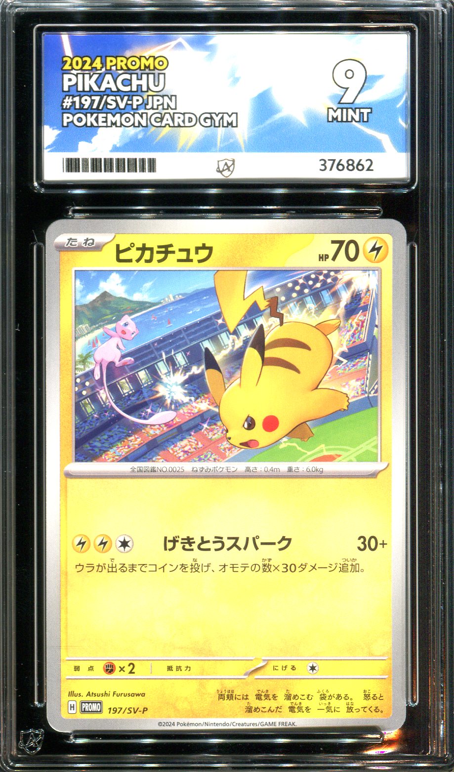 Pokemon - Japanese Gym Card Promo - Pikachu - 197/SV-P - Ace Grading - Grade 9 Mint
