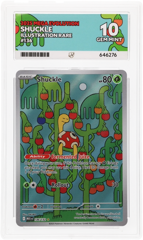 Shuckle - ACE 10   (Front)