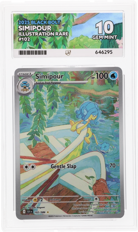 Simipour - ACE 10   (Front)