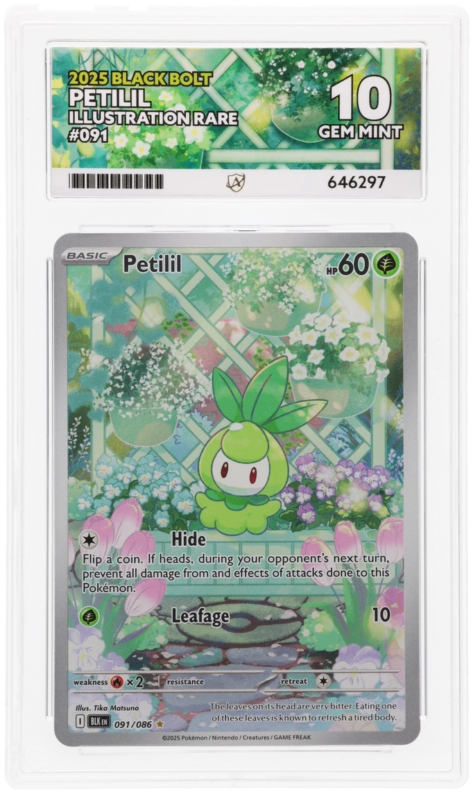 Petilil - ACE 10   (Front)