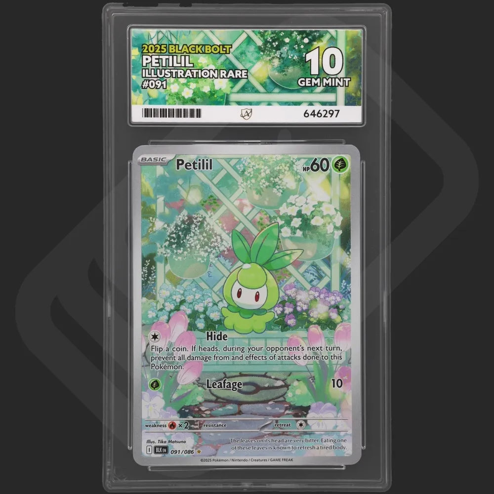 Pokemon - Black Bolt - Petilil - 091/086 - Ace Grading - Grade 10