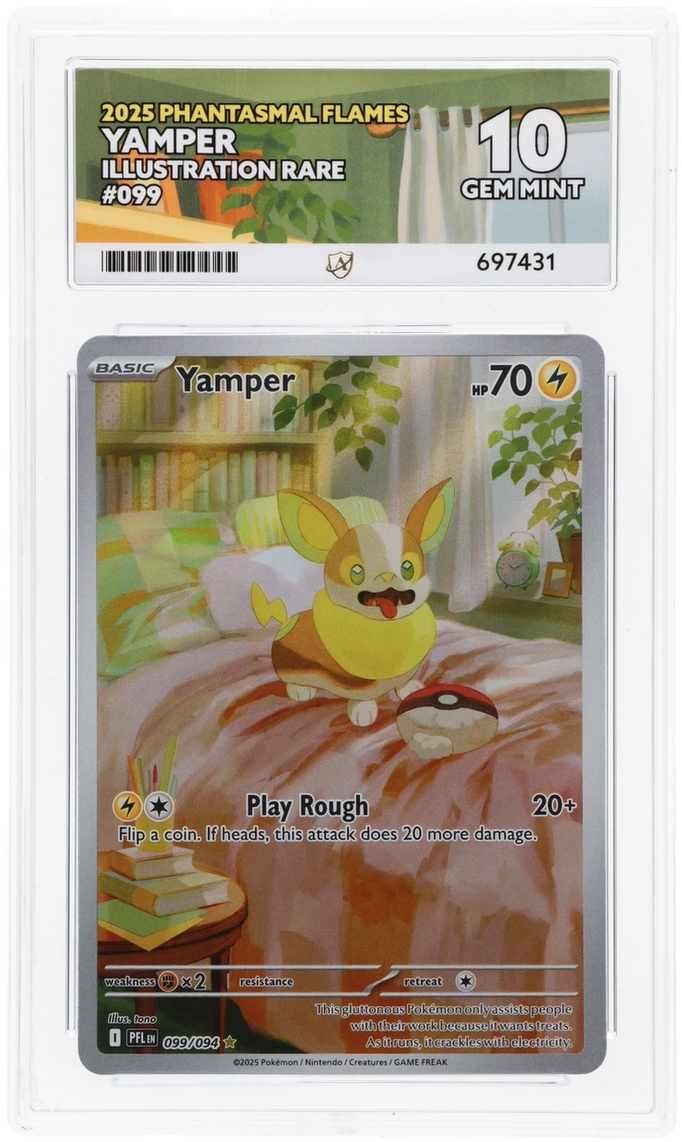 Yamper - ACE 10   (Front)