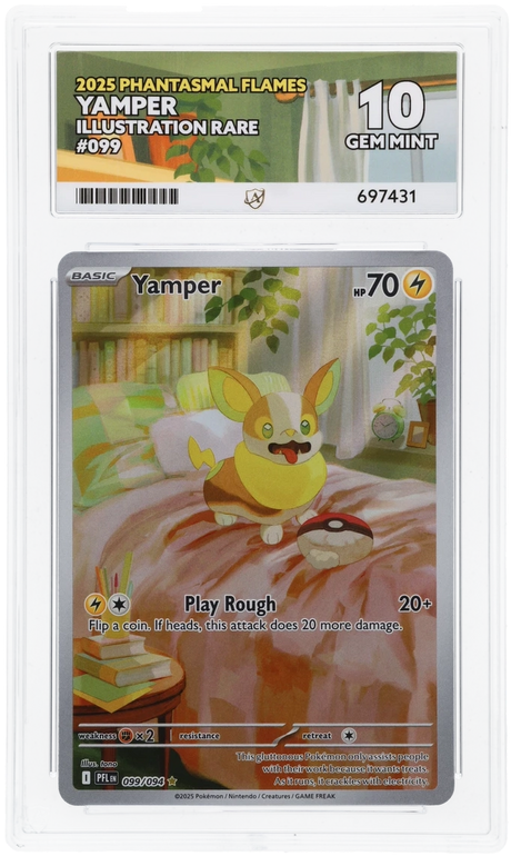 Yamper - ACE 10   (Front)