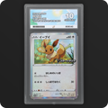 Pokemon | Promo | Eevee | Japanese 100/S-P Ace 10