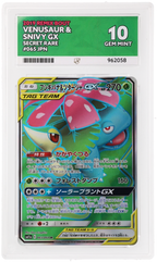 Venusaur & Snivy GX - ACE 10   (Front)