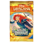 Wilds Unknown Set 12 Booster Display (24 Packs) box