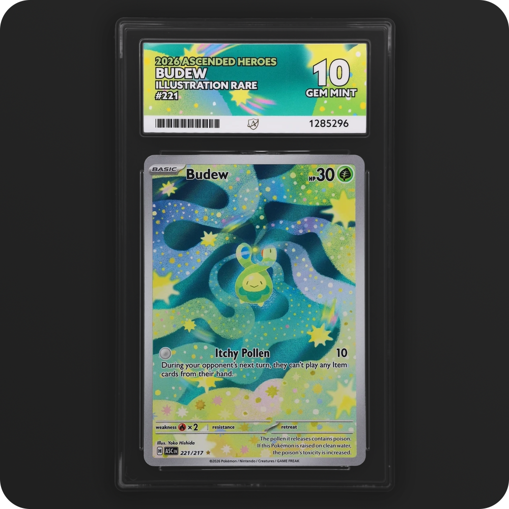 Budew 221/217 Ascended Heroes Ace Grading 10, front of the graded slab