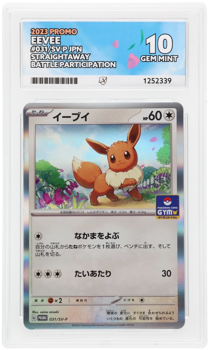 Eevee 031/SV-P Promo Ace Grading 10, close-up front view of the certified slab