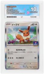 Eevee 031/SV-P Promo Ace Grading 10, close-up front view of the certified slab