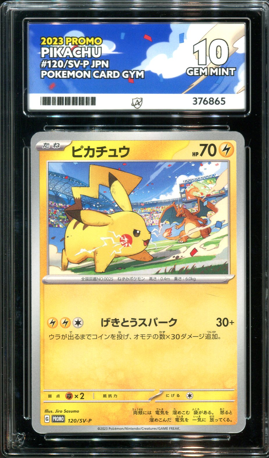 Pokemon - Japanese Gym Card Promo - Pikachu - 120/SV-P - Ace Grading - Grade 10 Mint
