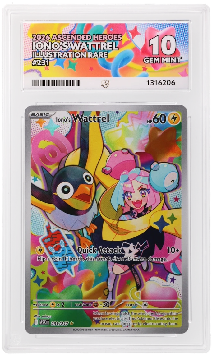Iono’s Wattrel 231/217 Ascended Heroes Ace Grading 10, close-up front view of the certified slab