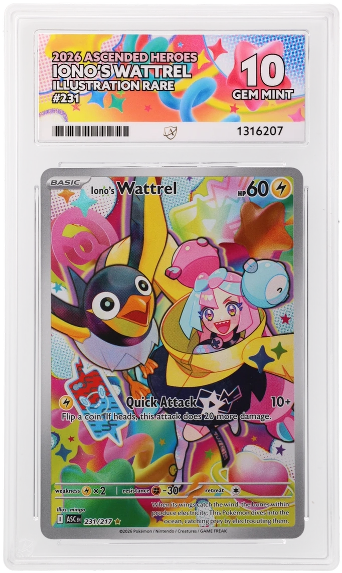 Iono’s Wattrel 231/217 Ascended Heroes Ace Grading 10, close-up front view of the certified slab