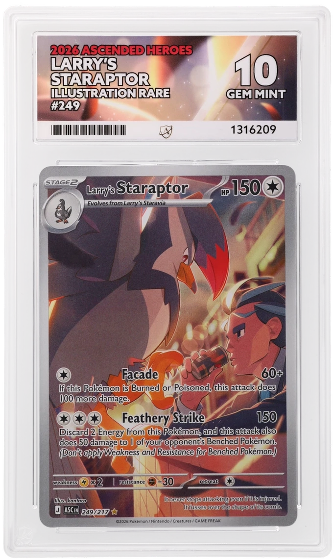 Larry’s Staraptor 249/217 Ascended Heroes Ace Grading 10, close-up front view of the certified slab