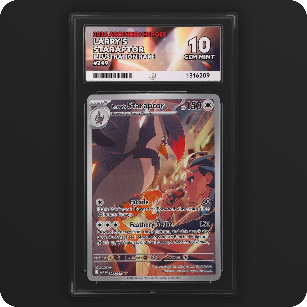 Larry’s Staraptor 249/217 Ascended Heroes Ace Grading 10, front of the graded slab