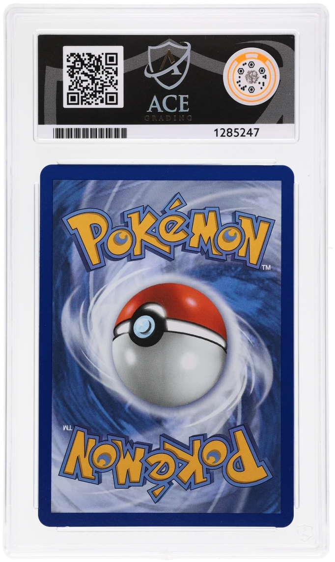 Litten 044 Black Star Promo Ace Grading 10 — close-up back view of the certified slab