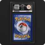 Litten 044 Black Star Promo Ace Grading 10 — back of the graded slab