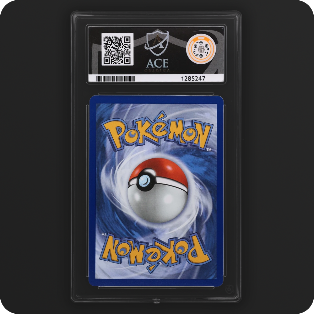 Litten 044 Black Star Promo Ace Grading 10 — back of the graded slab