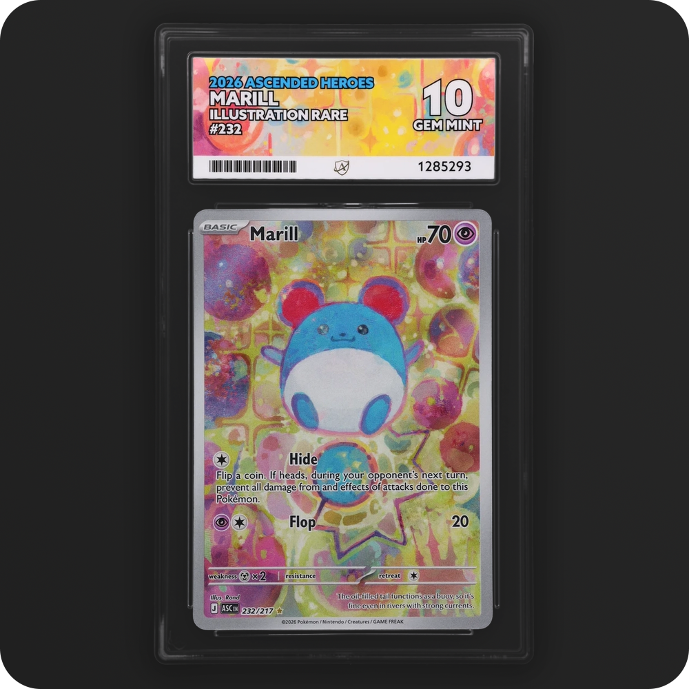 Marill 232/217 Ascended Heroes Ace Grading 10, front of the graded slab