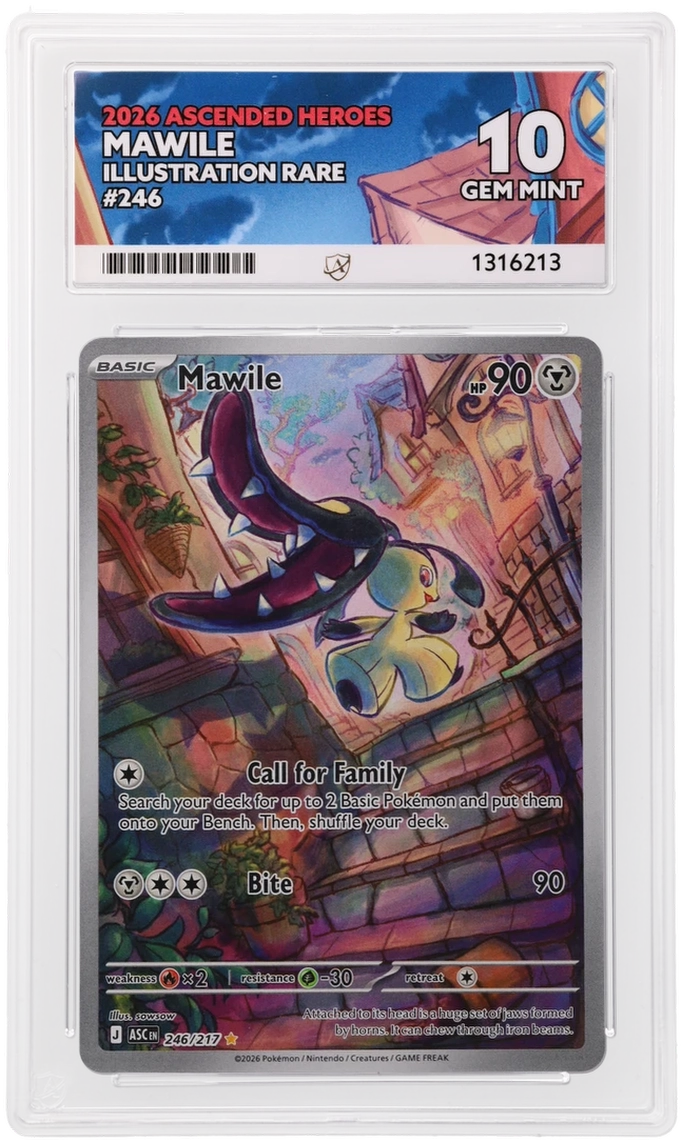 Mawile 246/217 Ascended Heroes Ace Grading 10, close-up front view of the certified slab