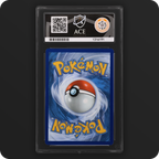 Mega Hawlucha ex 268/217 Ascended Heroes Ace Grading 10, back of the graded slab