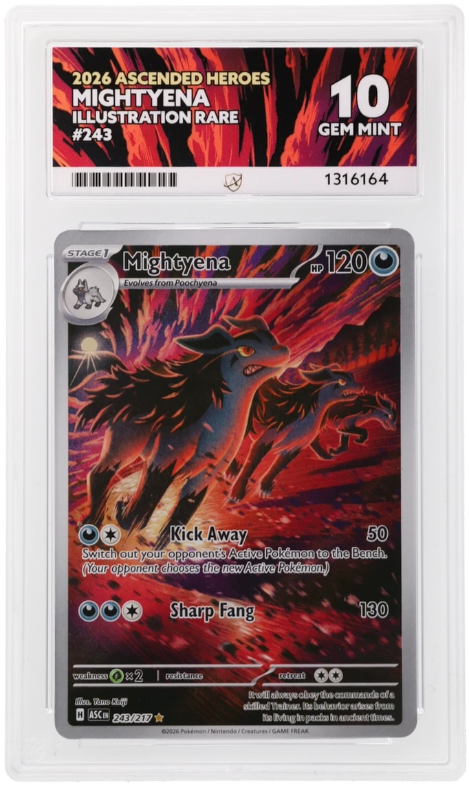 Mightyena 243/217 Ascended Heroes Ace Grading 10, close-up front view of the certified slab