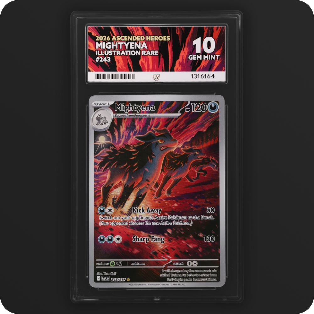 Mightyena 243/217 Ascended Heroes Ace Grading 10, front of the graded slab