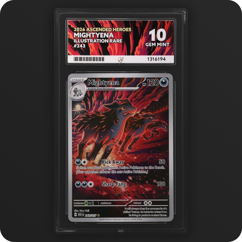 Mightyena 243/217 Ascended Heroes Ace Grading 10, front of the graded slab
