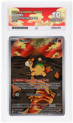 Numel 223/217 Ascended Heroes Ace Grading 10, close-up front view of the certified slab