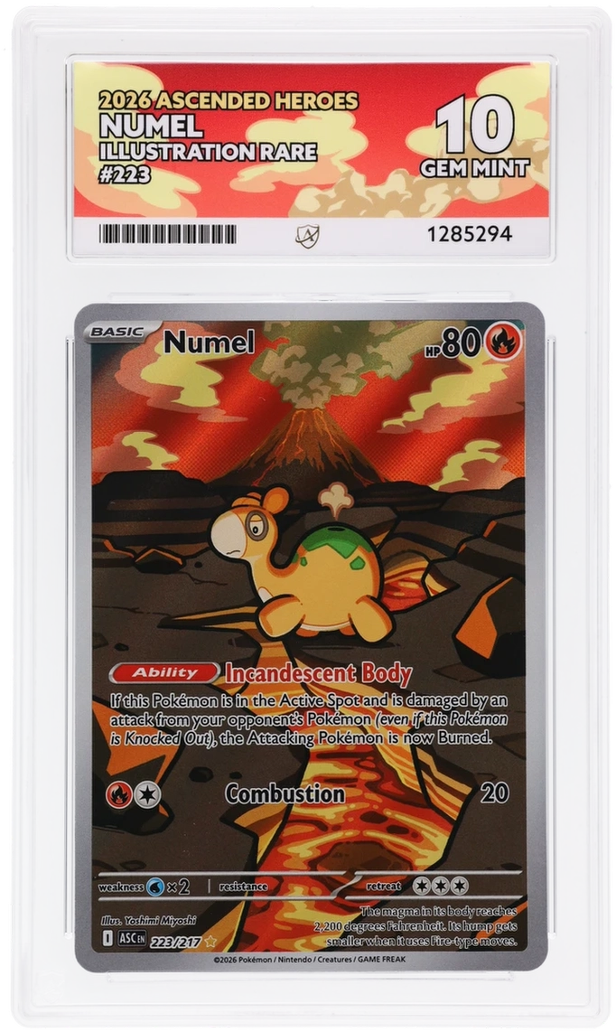 Numel 223/217 Ascended Heroes Ace Grading 10, close-up front view of the certified slab