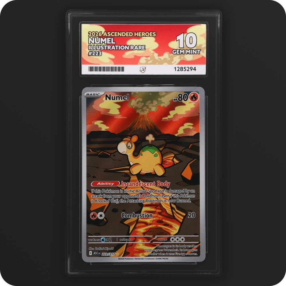 Numel 223/217 Ascended Heroes Ace Grading 10, front of the graded slab