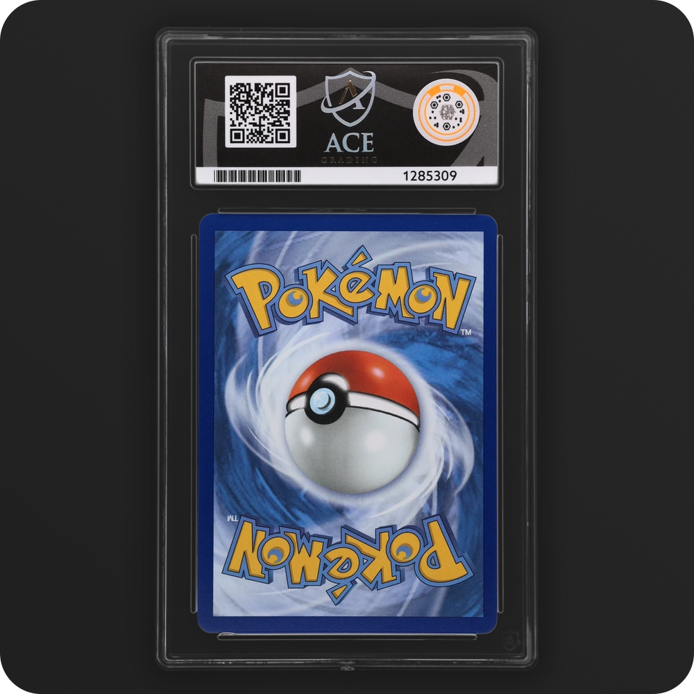 Numel 223/217 Ascended Heroes Ace Grading 10, back of the graded slab