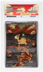 Numel 223/217 Ascended Heroes Ace Grading 10, close-up front view of the certified slab