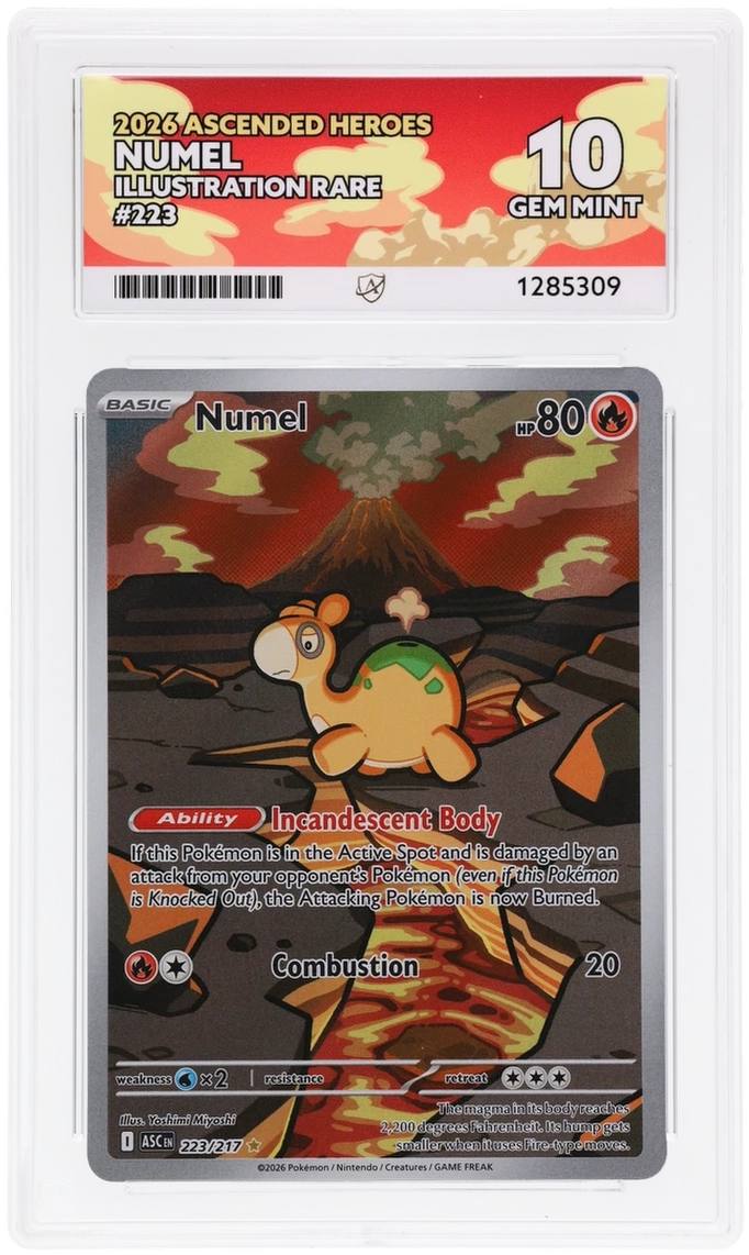 Numel 223/217 Ascended Heroes Ace Grading 10, close-up front view of the certified slab