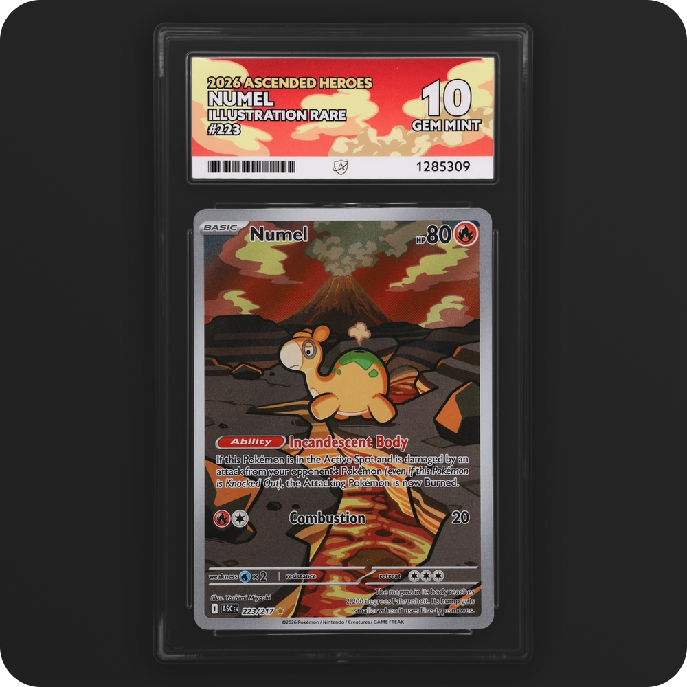 Numel 223/217 Ascended Heroes Ace Grading 10, front of the graded slab