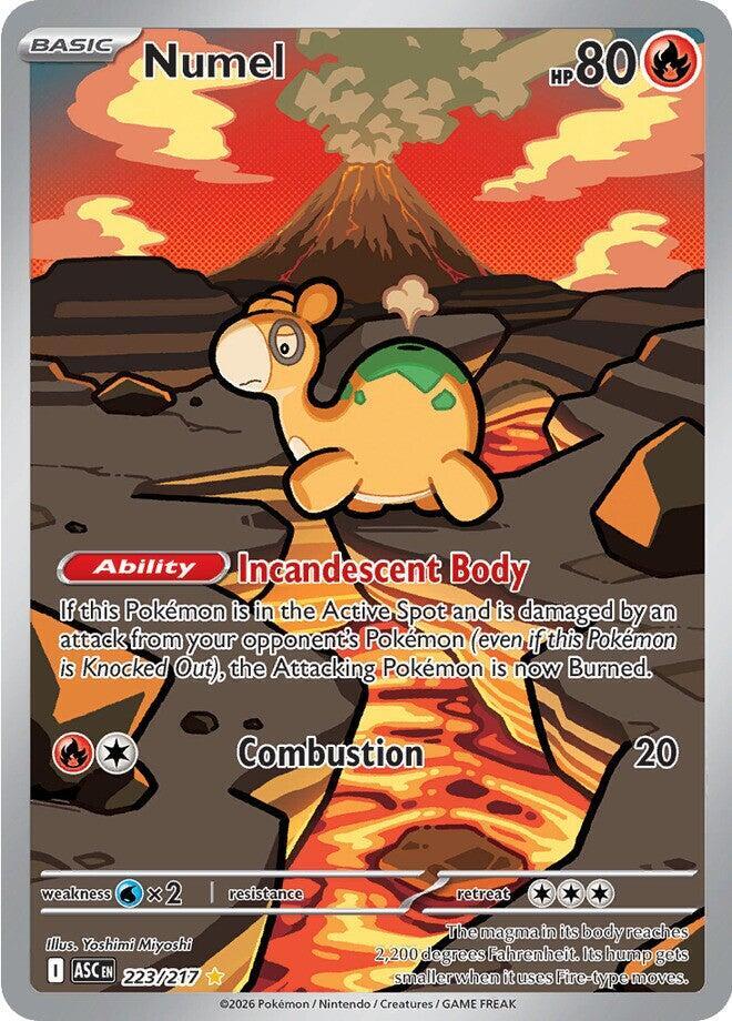 Numel 223/217 Holofoil, Ascended Heroes Pokémon card