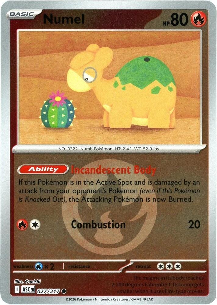 Pokemon - Ascended Heroes - Numel - 027/217 - Energy Symbol Pattern