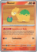 Numel 027/217 — Ascended Heroes Pokémon card