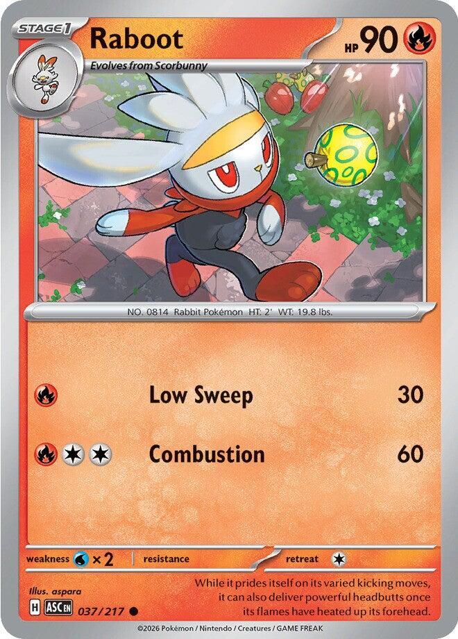 Pokemon - Ascended Heroes - Raboot - 037/217 - Normal