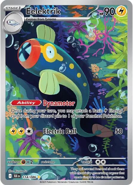 Eelektrik 114/086 Holofoil — Black Bolt Pokémon card