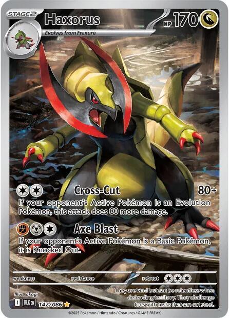 Haxorus 147/086 Holofoil — Black Bolt Pokémon card