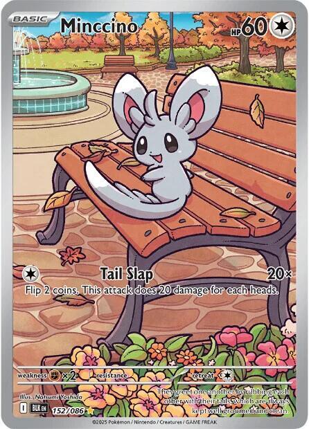 Minccino 152/086 Holofoil — Black Bolt Pokémon card