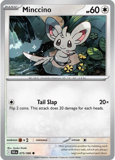 Minccino 075/086 Reverse Holofoil — Black Bolt Pokémon card