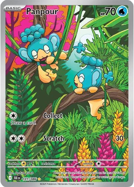 Panpour 101/086 Holofoil — Black Bolt Pokémon card