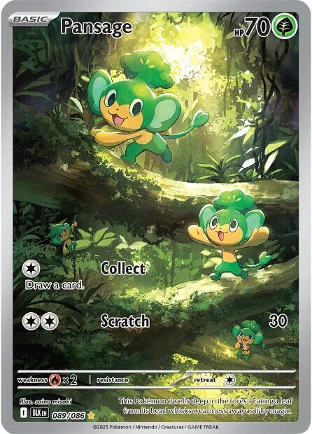 Pansage 089/086 Holofoil — Black Bolt Pokémon card