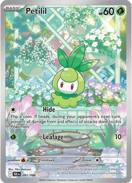 Petilil 091/086 Holofoil — Black Bolt Pokémon card